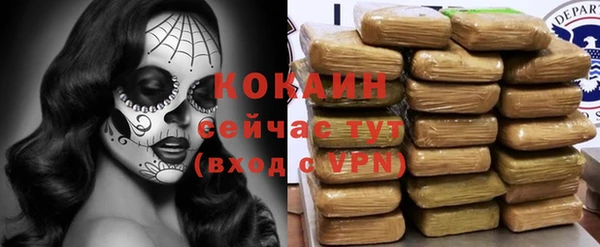 спиды Алзамай