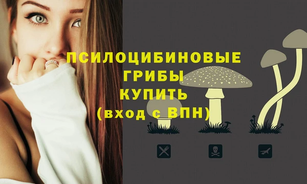 спиды Алзамай